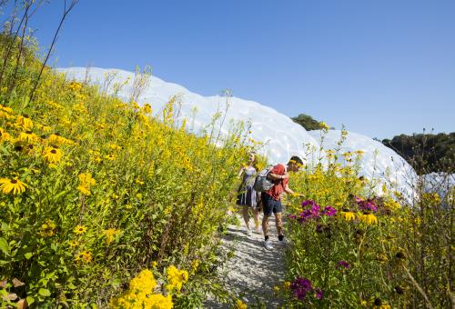Two people looking closely at flowers in the Outdoor Gardens with Biomes in the background